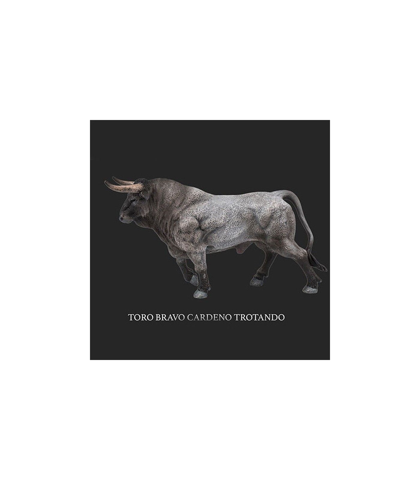 Taureaux brave cardeno au trot  - 1