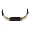 Authentic bull horns No. 2