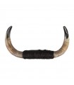 Authentic bull horns No. 3