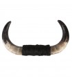 Authentic bull horns No. 4