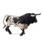 Bull brave squealing trotting