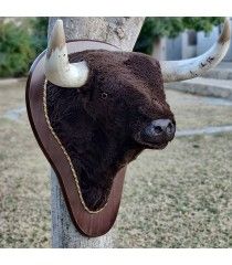 Tête de taureau en fibre de verre à des fins décoratives