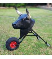 copy of Bullfighting cart for children, with real horns and folding.