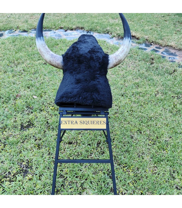 Alquiler de toro carretón