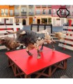 Tablao para toros grandes