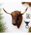 Cabeza de toro Marrón con cuernos reales para decoración