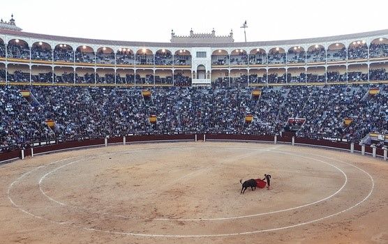 carretones taurinos