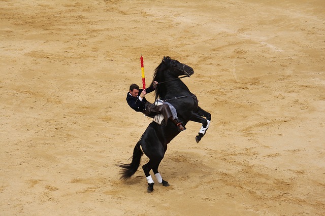 fiestas taurinas en valencia