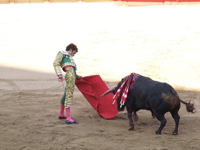 muleta de torero roja